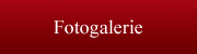 Fotogalerie